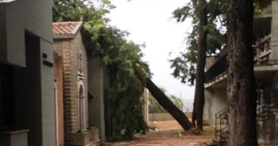 Maltempo: gli interventi di Croce Rossa e Protezione Civile nel territorio Maltempo: gli interventi di Croce Rossa e Protezione Civile nel territorio