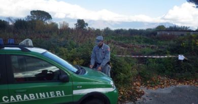 Creano strada abusiva in una zona boschiva senza nessuna autorizzazione, nei guai tre uomini Creano strada abusiva in una zona boschiva senza nessuna autorizzazione, nei guai tre uomini
