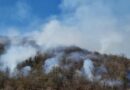 Santa Restituta, incendio boschivo domato dai Vigili del Fuoco